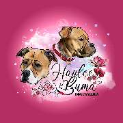 Haylee & Buma - LOGO