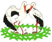 Hebamme Kerstin Siegert Ratzeburger Storchennest - 2