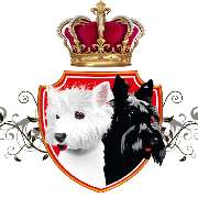 Logo - Hunde und Katzensalon BLACK & WHITE Dogs Coiffeur and More, Berlin