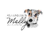 Hundecoach Melly- Mobil & Individuell - 8