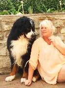 Logo - Hundesalon Kuschelwuschel-Hundechic