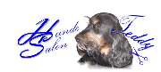 Logo - Hundesalon Teddy