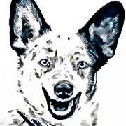 Logo - Hundeschule hunde-mit-menschen