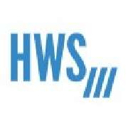 HWS Massa GmbH & Co. KG Wirtschaftsprüfungsgesellschaft - LOGO