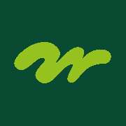 immergrün Düsseldorf - LOGO