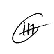 Inga Geiser - LOGO