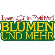 Ingo Salzmann Blumen und Mehr - LOGO
