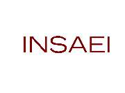 Logo - INSAEI