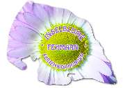 Logo - Inselblume-Fehmarn Inh. Beate Blum Ferienwohnungsvermittlung