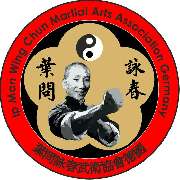 Ip Man Wing Chun Essen World Federation Martial Arts - 6