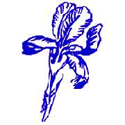 Iris-Apotheke am Eli - Logo der Iris-Apotheke am Eli