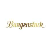 Juwelier Bungenstock KG - LOGO