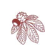 Kastanien-Apotheke - Logo der Kastanien-Apotheke