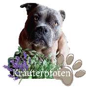 Kräuterpfoten - LOGO