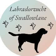 Labrador of Swallow Lane - LOGO