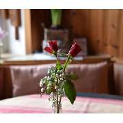 Landgasthof-Pension Grüner Baum - LOGO