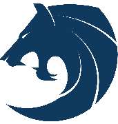 Logo - Limcons Limousinenservice