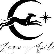 Luna Agile - LOGO