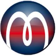 Logo - Magnosphere GmbH