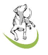 Logo - Meat for Dogs