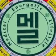Medical Energetic Lifestyle - LOGO