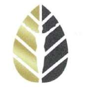 MEDICUS MVZ GmbH  - Osteoporosezentrum Berlin - LOGO