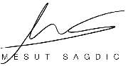 Logo - Mesut Sagdic - Mentale Fitness Akademie