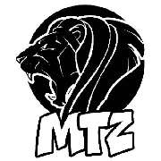 MTZ Montagetechnik Zink GmbH - LOGO