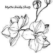 MyOrchids.shop - LOGO