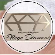 Nadine Helm Pflege Diamant - LOGO