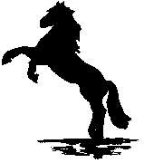 Logo - Naturheilkunde für Tiere