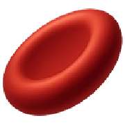 Naturheilpraxis Löschburg - LOGO