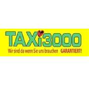 Nazim Potuk Taxi - 3000 - LOGO