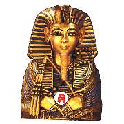 Neue Apotheke Mittelfeld - Logo der Neue Apotheke Mittelfeld