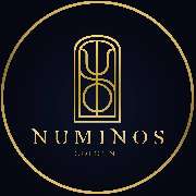 Numinos GmbH - LOGO