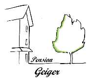 Pension Geiger - 10