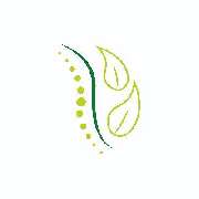 Physiotherapiepraxis Sabrina Lang - LOGO