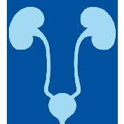 Ralf-Gero Sommer Facharzt für Urologie, Med. Tumortherapie, Andrologie - LOGO