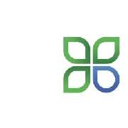 Raypath-De - LOGO