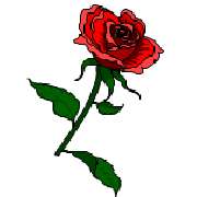 Rosen-Apotheke - Logo der Rosen-Apotheke