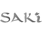 Saki HairArtist - LOGO