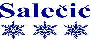 Logo - Salečić Eistechnik