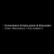 Schnurbus, Spiegelberg & Kollegen - 2