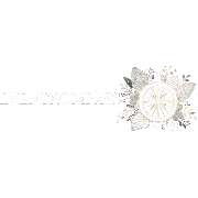 Selina Reimche - Eventkompass & Gefühlskompass - LOGO