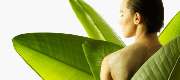 Shiatsu- und therapeutische Massage-Praxis Erfurt-Ringelberg - 2
