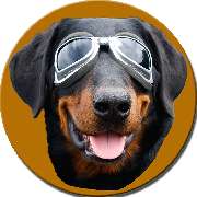 So A Hund - Logo