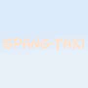 Spang Taxi Service - 2