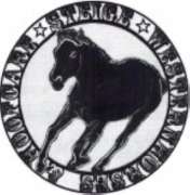 Steige Westernhorses & Hoofcare - 4