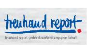 steuerberatungsgesellschaft treuhand report gmbH - LOGO