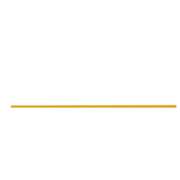 Streckhardt Orthopädie - Schuh - Technik - LOGO